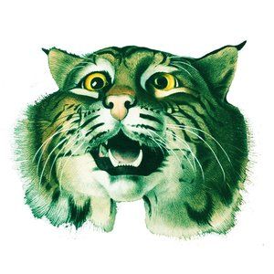 Meet your Posher, The cat's meow